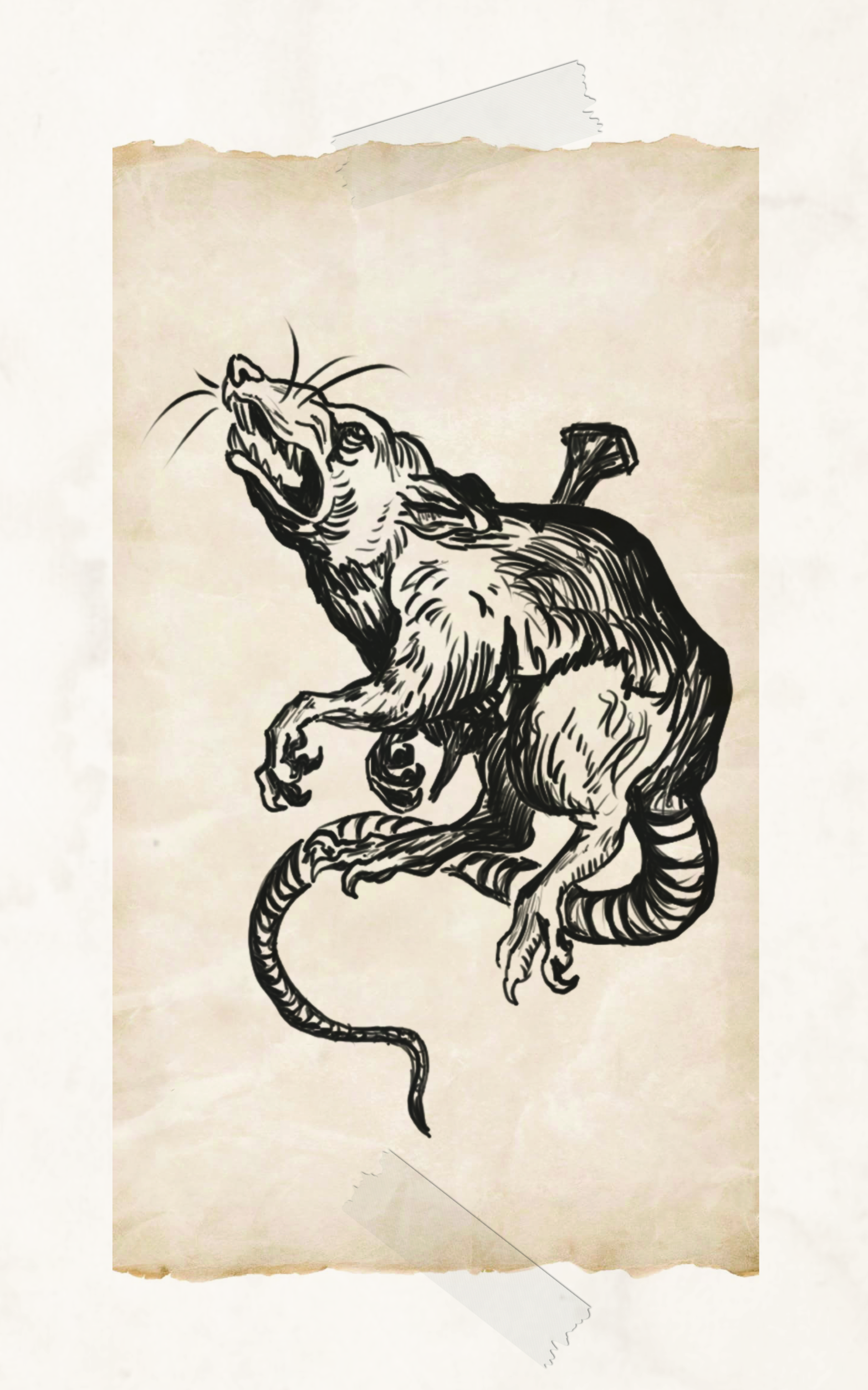 Illustration of a rat in parchment